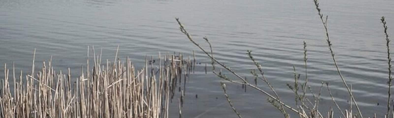 Sometimes beautifull areas are nearby, but you must search for them to find. This has happened to me this morning. Now wait for some good light.