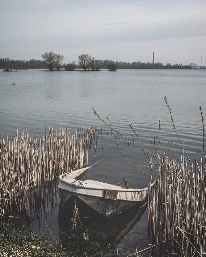 A small boat stranded in shallow water with tall reeds in the foreground.