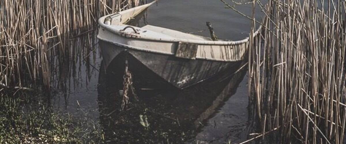 A small boat stranded in shallow water with tall reeds in the foreground.