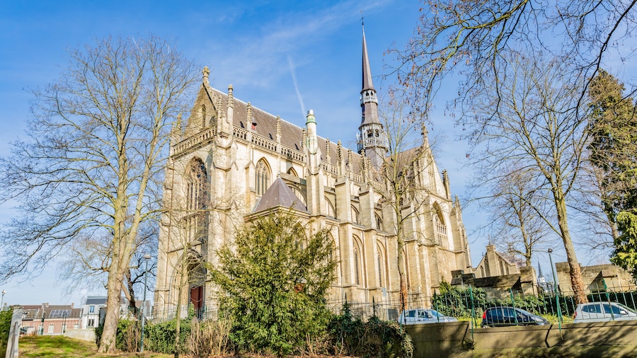 Beautiful lateral view of the Basilica of the Blessed Sacrament or Basilica of Meerssen, winter sunny day in the Proosdij park in south Limburg in the Netherlands Holland