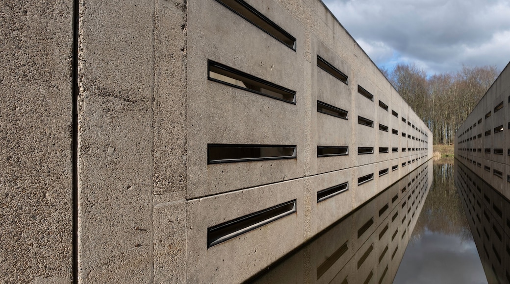 มาร์คเนสเซอะ