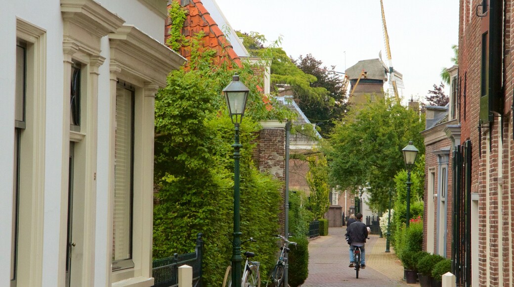 Utrecht showing cycling