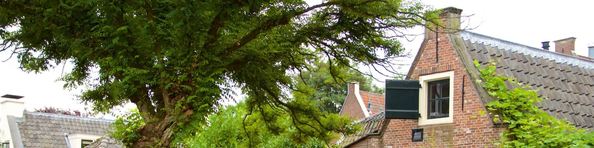 Utrecht showing outdoor eating