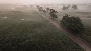 An area with a lot of different surroundings. Forest, swamps, heather and little lakes.