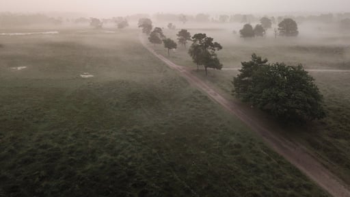 An area with a lot of different surroundings. Forest, swamps, heather and little lakes.