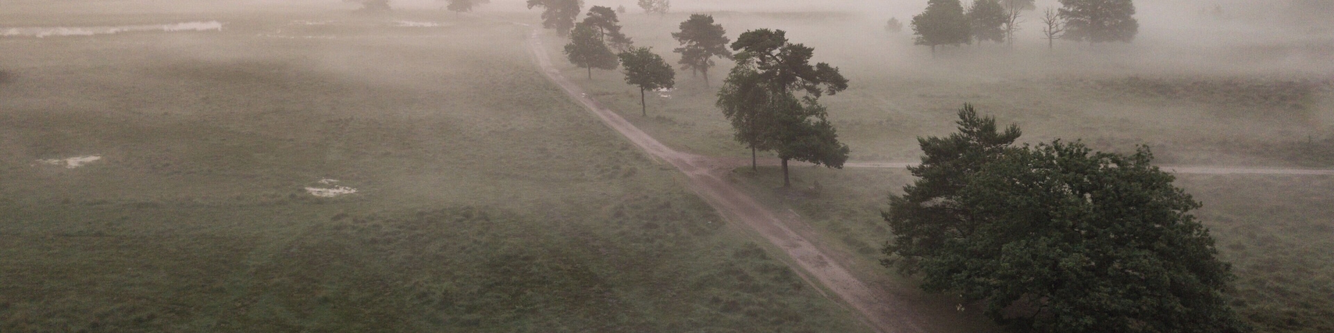 An area with a lot of different surroundings. Forest, swamps, heather and little lakes.