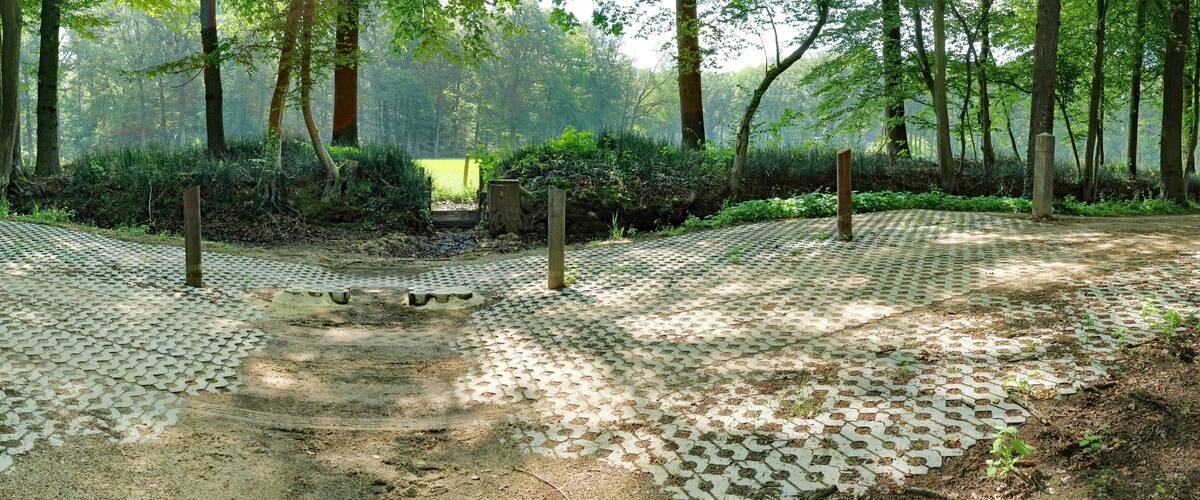 A forest with a paved pathway and a small structure in the center.