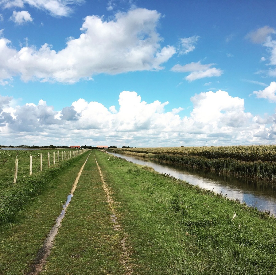 The Polders