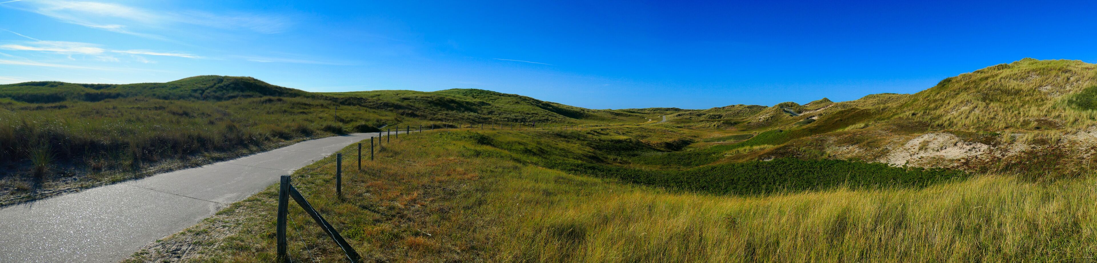Dünenlandschaft in Nordholland 