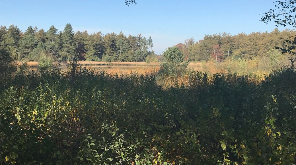 This here so beautiful!
Hooghalen - the Netherlands 🇳🇱