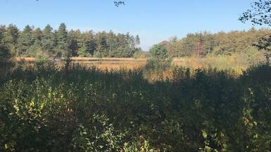 This here so beautiful!
Hooghalen - the Netherlands đłđ±