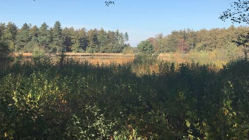 This here so beautiful!
Hooghalen - the Netherlands 🇳🇱