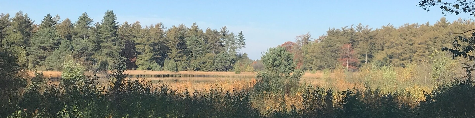 This here so beautiful!
Hooghalen - the Netherlands 🇳🇱