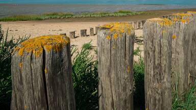 panorama. breakwater on the beach of Westerschelde in Hoofdplaat, the Netherlands
