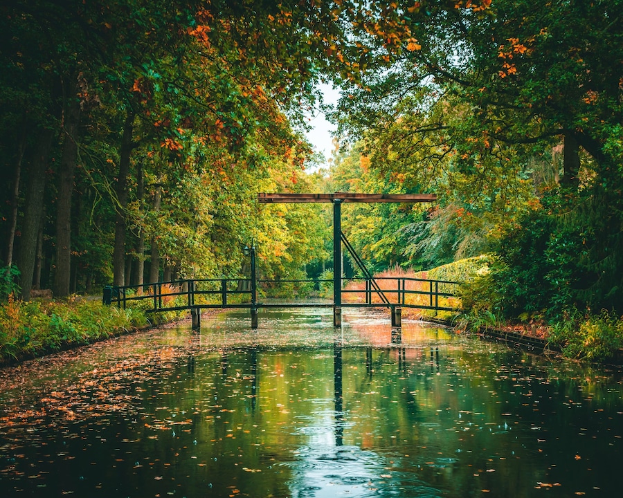 Bridge to the castle
#mybackyard