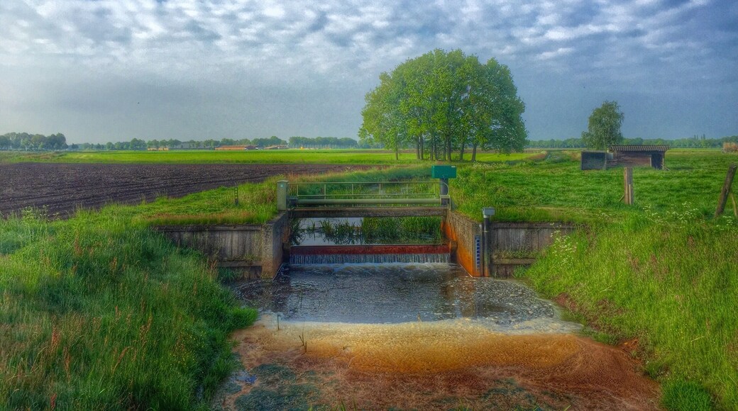 Small river,named ,de Beerze' in Hapert,the Netherlands.