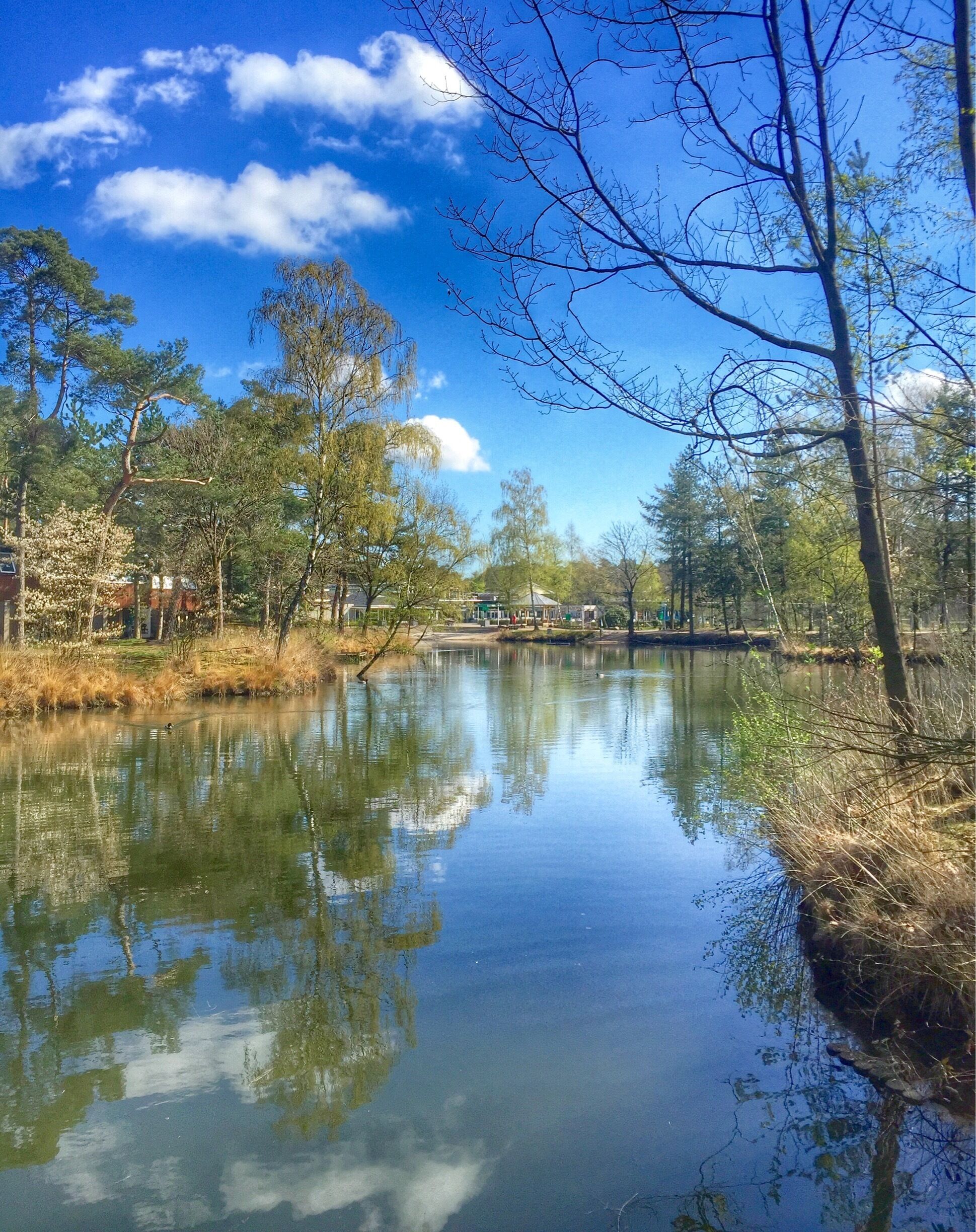 Family vacation park Landal Het Vennenbos,Hapert,The Netherlands