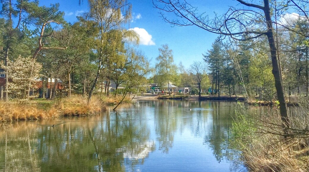 Family vacation park Landal Het Vennenbos,Hapert,The Netherlands