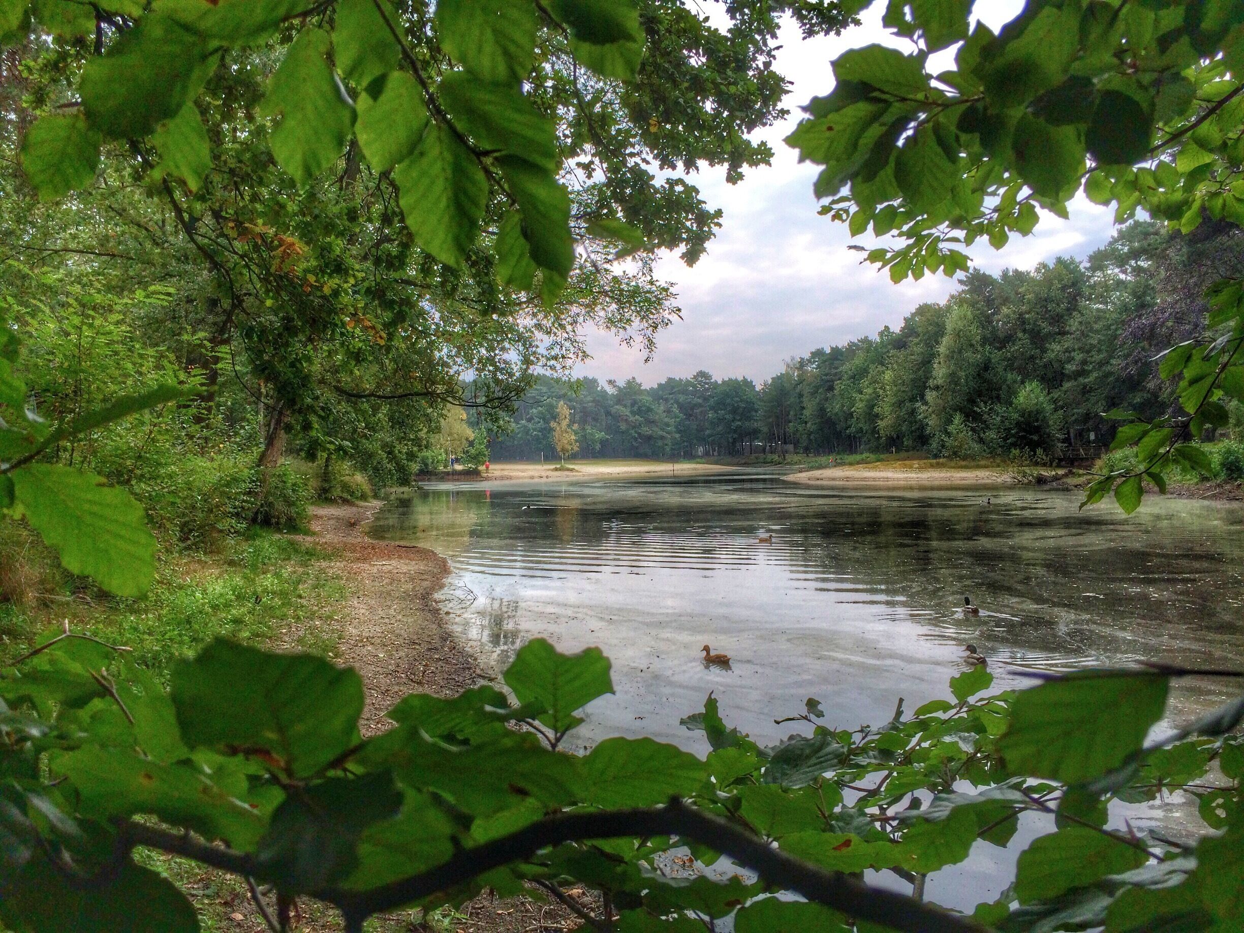 Pool @ Family Holiday park Landal het Vennenbos,Hapert, The Netherlands