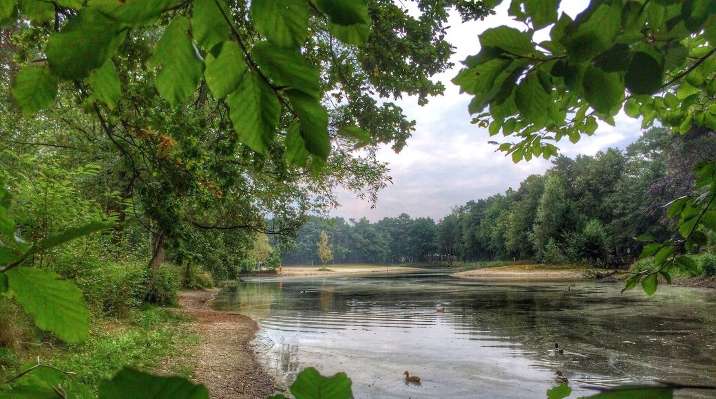 Pool @ Family Holiday park Landal het Vennenbos,Hapert, The Netherlands