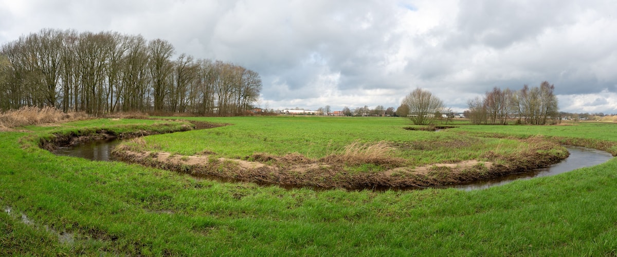 A green field with a small stream, trees, and a cloudy sky.
