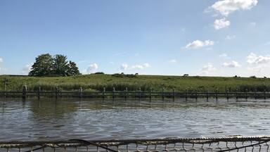 Great place to go for lunch/diner/drinks. For children there is a small playground.