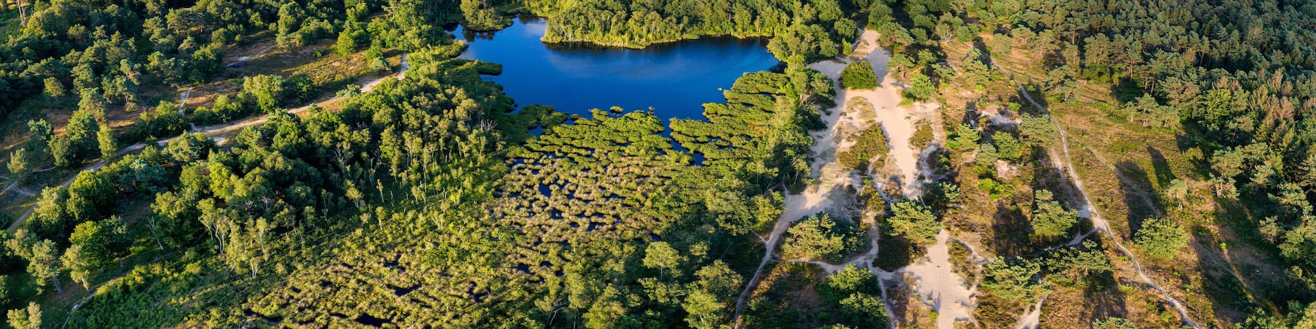 Small lake in the forests of Drenthe, the Netherlands as seen form above