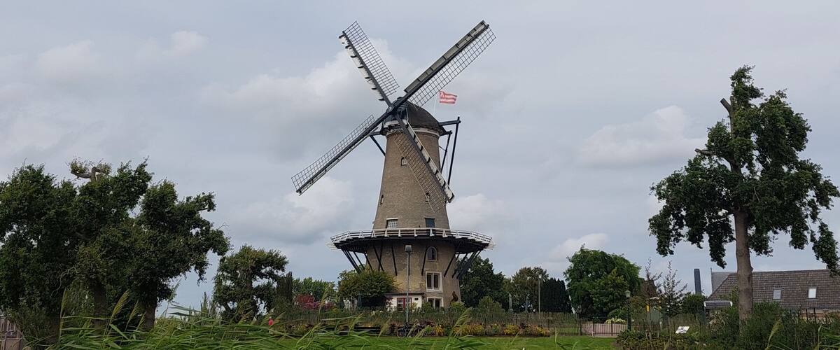A traditional windmill with a flag, surrounded by lush greenery and trees.