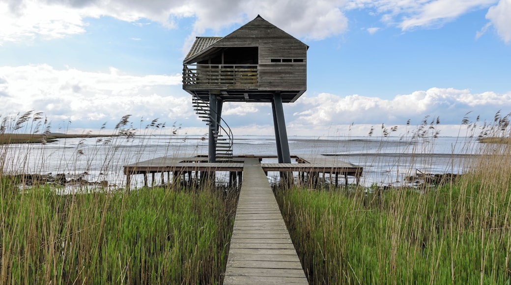 . #photo #photography #photoshoot #nederland #building