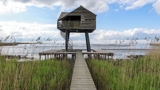 . #photo #photography #photoshoot #nederland #building