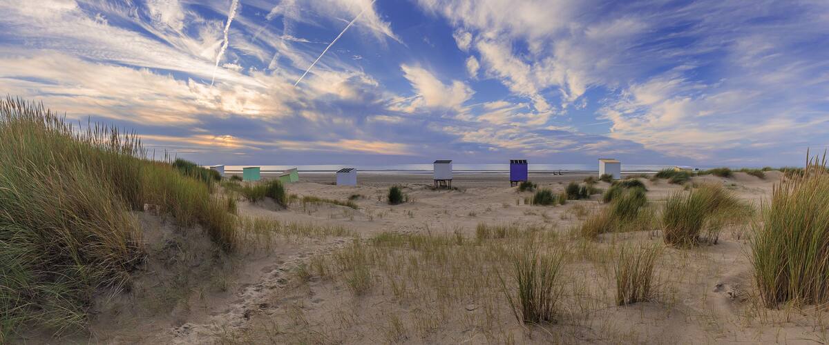 A beach with sand dunes and windbreaks.