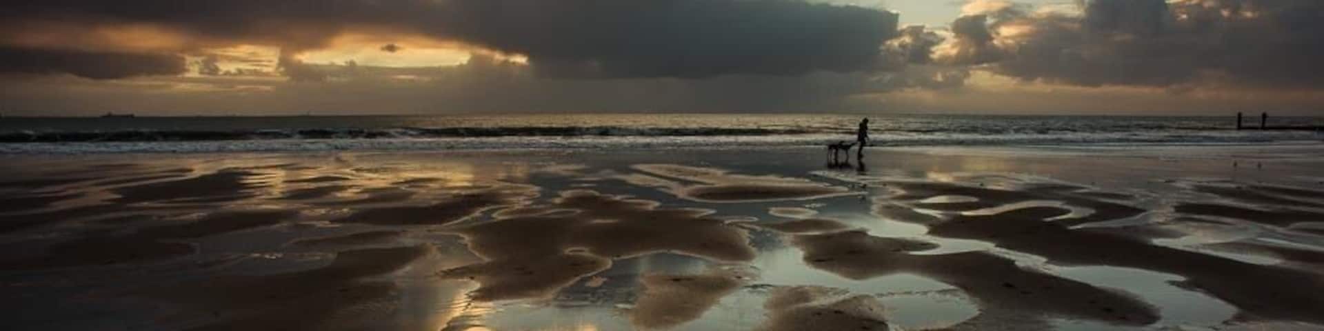 Nice beach for walking dogs.