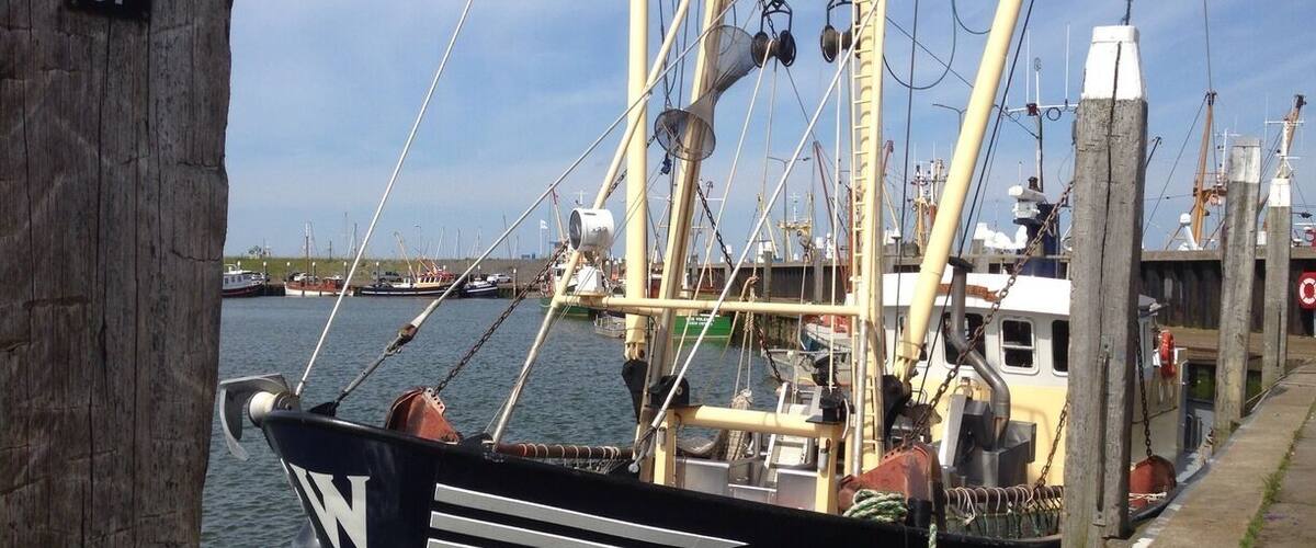 Den Oever is the last village before you go accros the 32 km Afsluitdijk, which separates the IJsselmeer from the Waddenzee. Great and fresh seafood in the harbour, do order "Kibbeling"!
http://en.m.wikipedia.org/wiki/Afsluitdijk
http://www.denoeverhoofdstadvandezeeversevis.nl/viscentre-en-viskiosk-t-wad.html