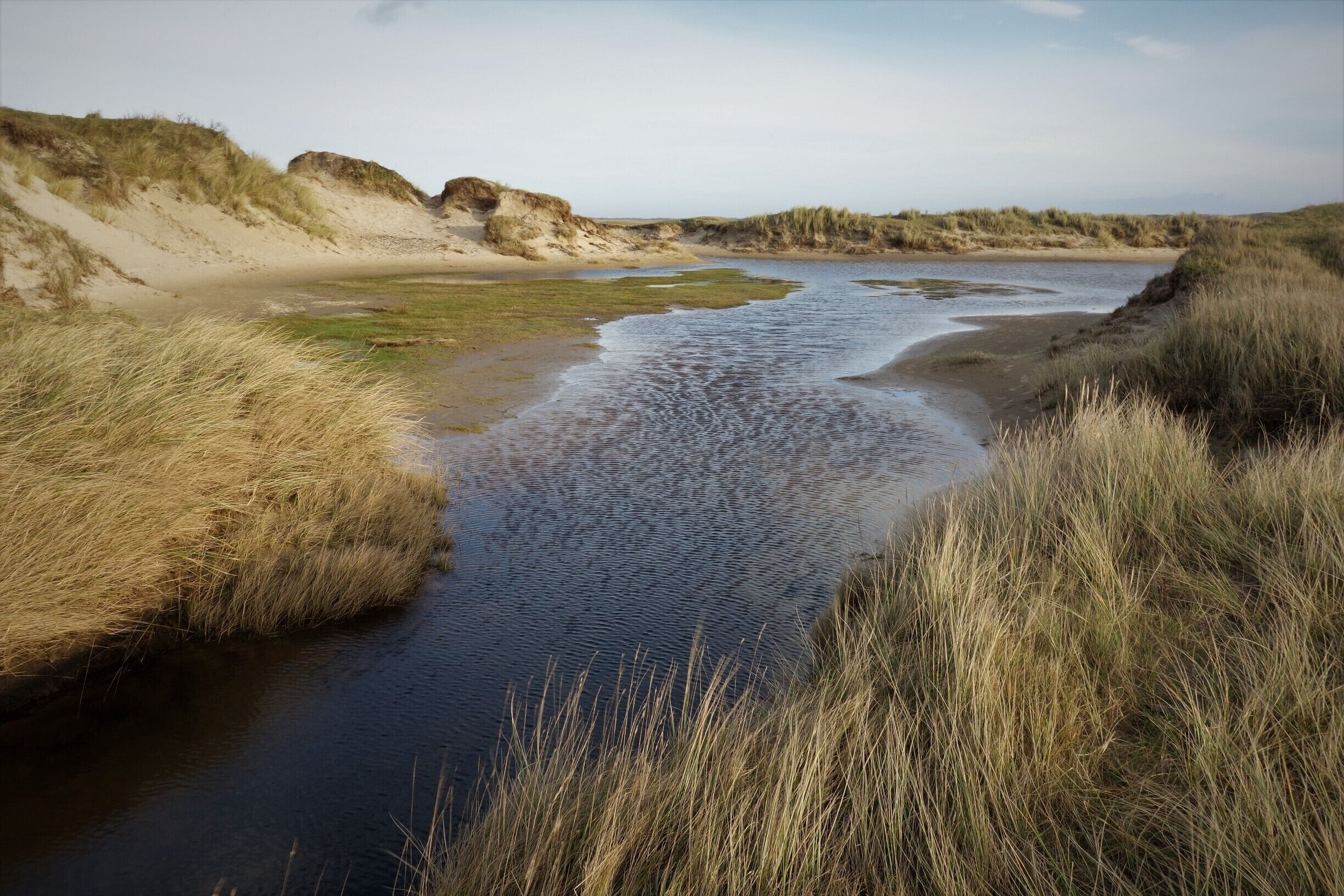Typical landscape along the west coast of Texel. #BeachTips!  #Nature
