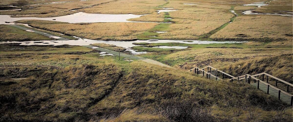Winter image of the “Slufter”, a nature reserve on the Wadden Island Texel. The reserve is a large salt marsh between two sand dikes. Creeks with salt water flow right through the area and a northwest storm can flood the entire reserve.
Only plants that tolerate salt water can grow here. In the summer the plain colours purple due to the flowering sea lavender. #Nature