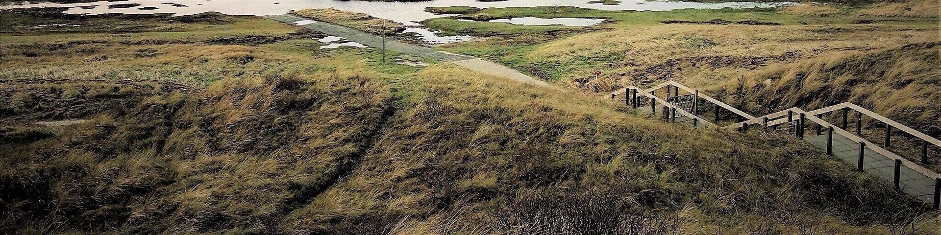 Winter image of the “Slufter”, a nature reserve on the Wadden Island Texel. The reserve is a large salt marsh between two sand dikes. Creeks with salt water flow right through the area and a northwest storm can flood the entire reserve.
Only plants that tolerate salt water can grow here. In the summer the plain colours purple due to the flowering sea lavender. #Nature