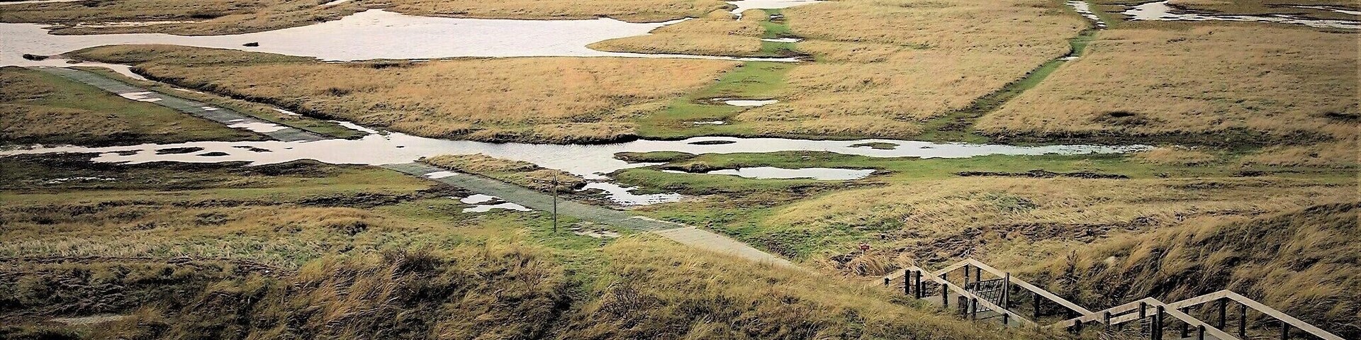 Winter image of the âSlufterâ, a nature reserve on the Wadden Island Texel. The reserve is a large salt marsh between two sand dikes. Creeks with salt water flow right through the area and a northwest storm can flood the entire reserve.
Only plants that tolerate salt water can grow here. In the summer the plain colours purple due to the flowering sea lavender. #Nature