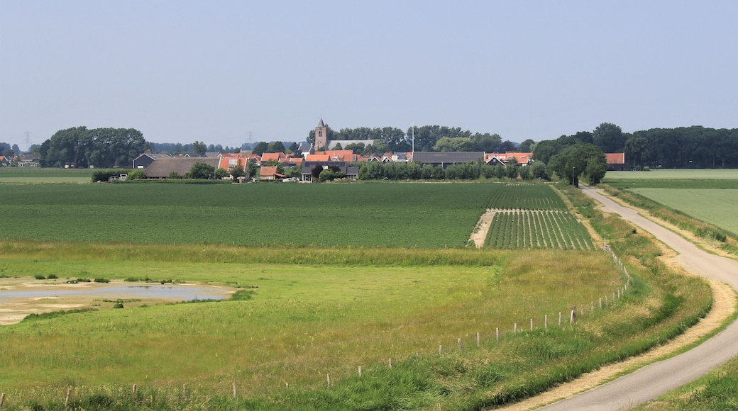 the little city Baarland behind the fields with onions in the dutch countryside in zeeland