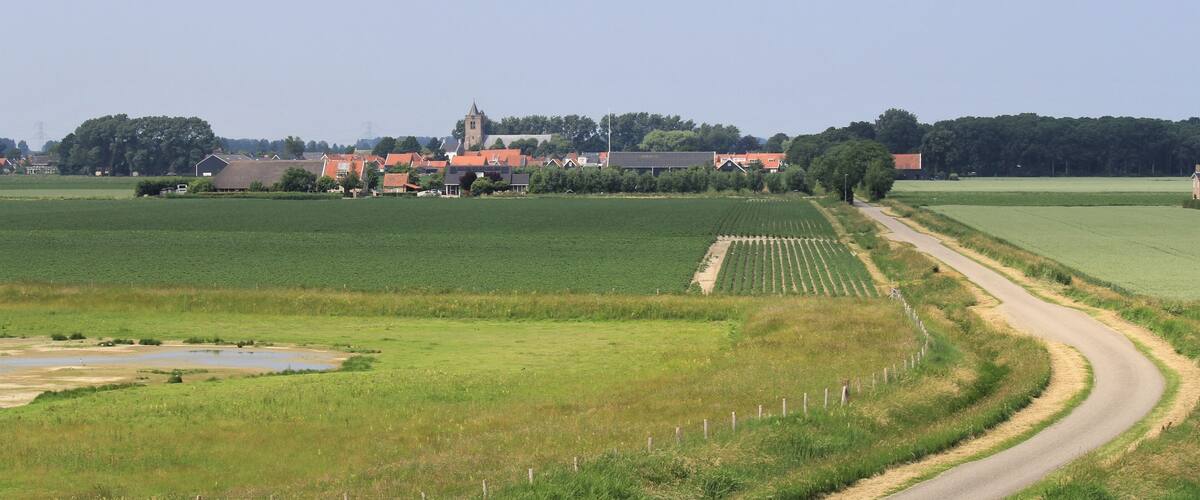 the little city Baarland behind the fields with onions in the dutch countryside in zeeland