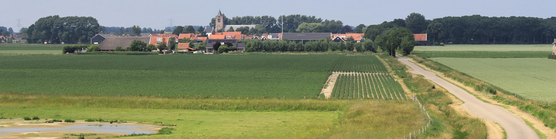 the little city Baarland behind the fields with onions in the dutch countryside in zeeland