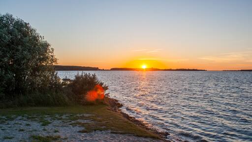 อาร์เนอะแมเดิน