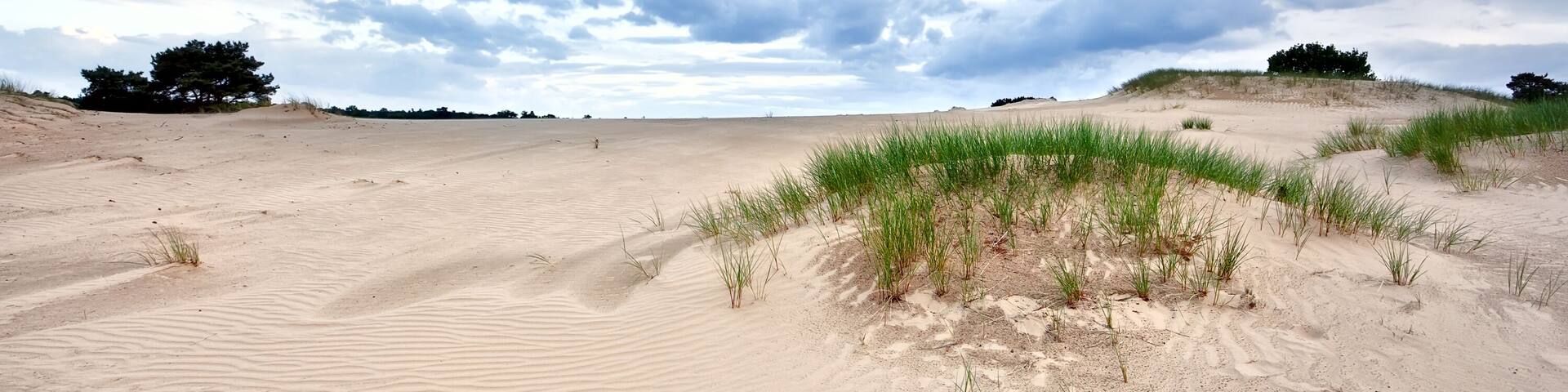 stormy clouds over sand dune, Appelscha, Drenthe