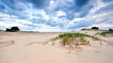 stormy clouds over sand dune, Appelscha, Drenthe