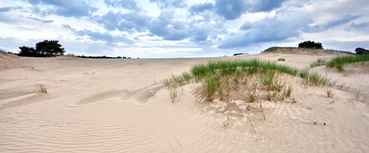 A sandy dune landscape with sparse vegetation and a cloudy sky.