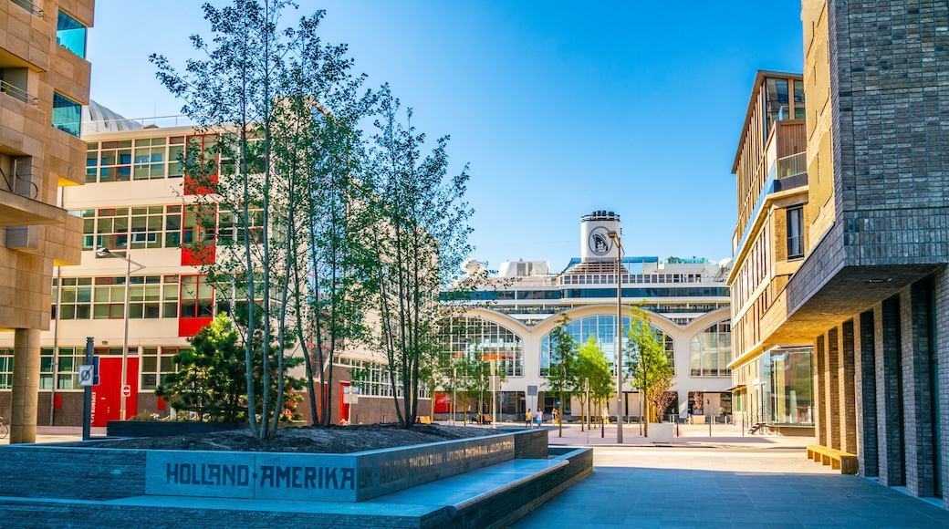 Holland america line and other skyscrapers in Rotterdam, Netherlands