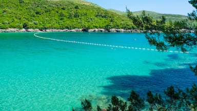 Plavi Horizonti beach landscape. Radovici. Tivat bay. Montenegro. Sandy clearest water beach excellent for kids.