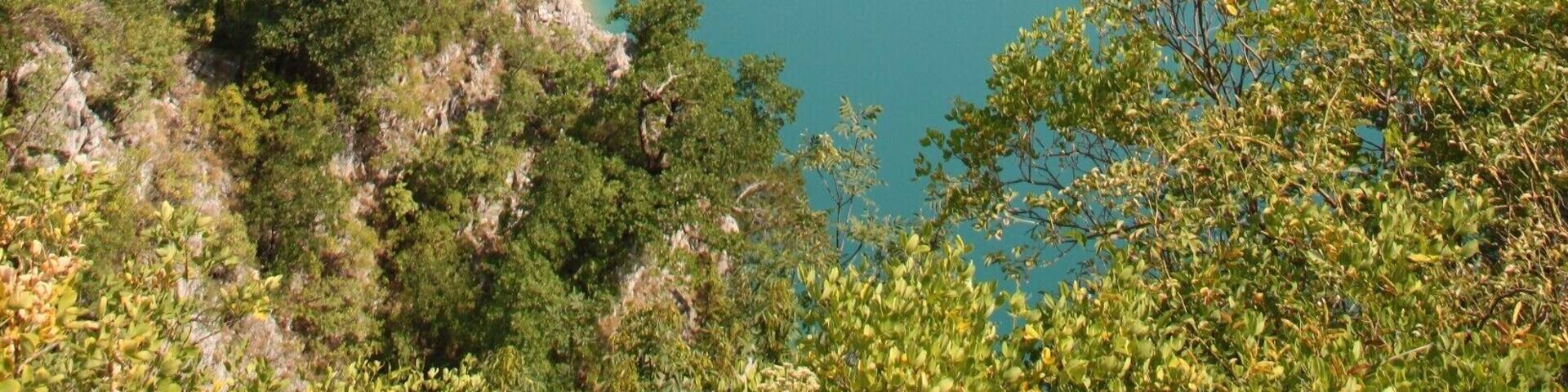 The most beautiful road I have ever driven on! Even though it´s a bit scary (very narrow, no good view on what´s coming, no lights in the tunnels), there is almost no traffic and the view is amazing! Definitely well worth the drive!