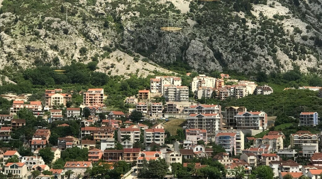 Kotor
