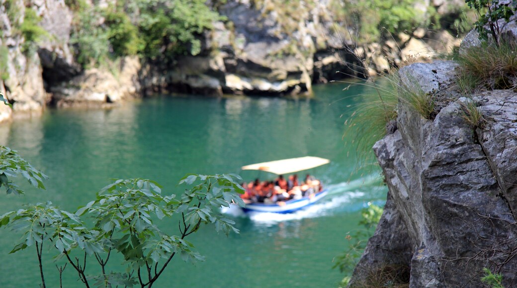 1_2286d2c2-a60e-4744-b6c6-d5a2b4cc761e_raw