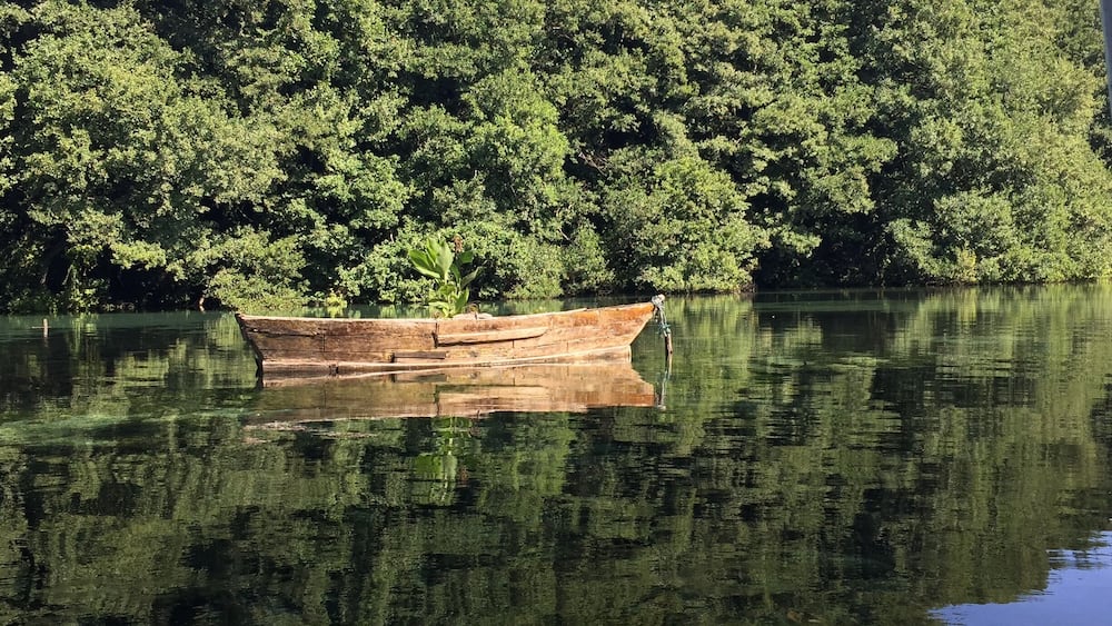 So amazingly beautiful